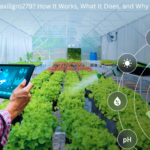What Is Waxillgro279
