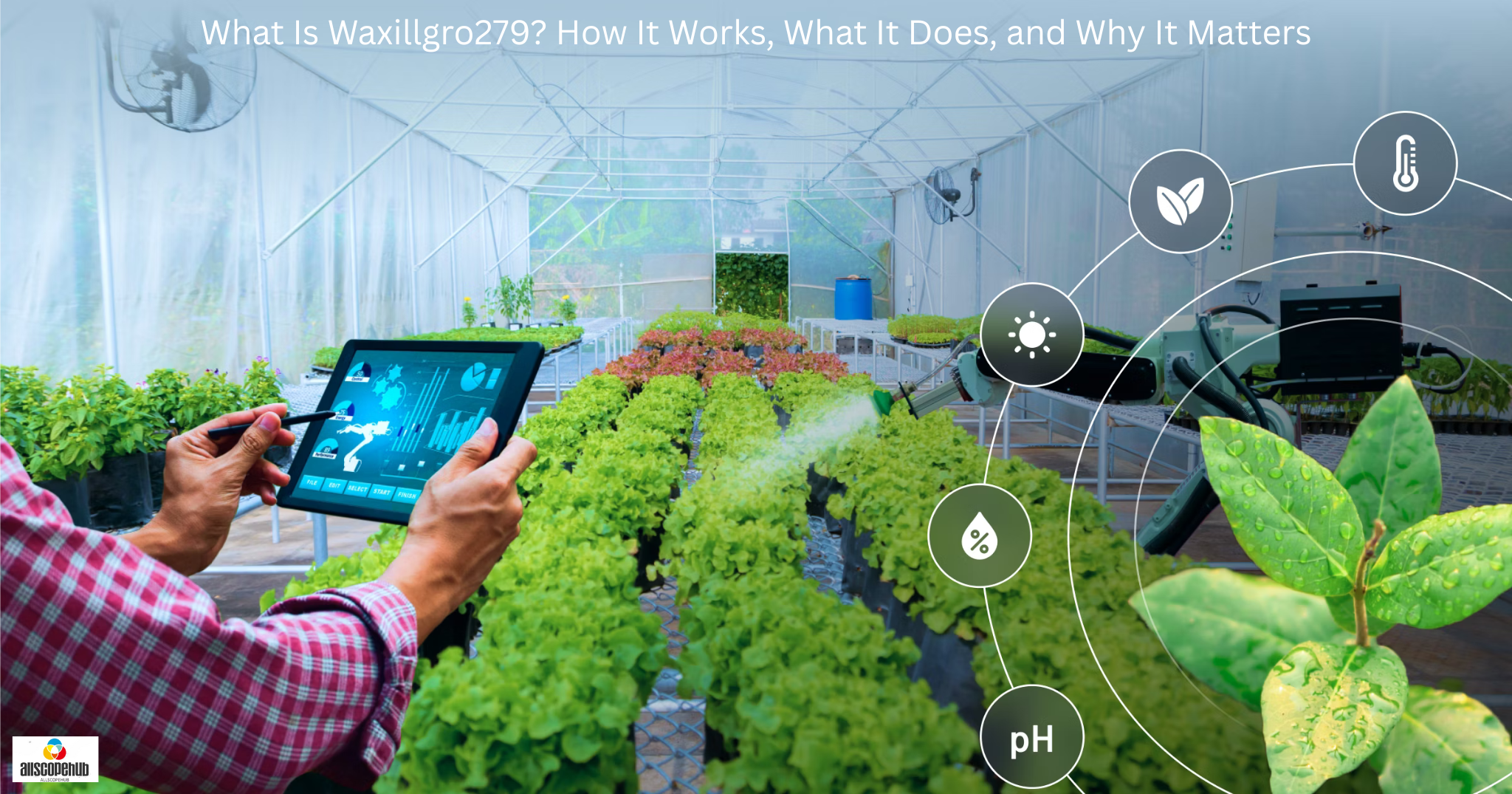 What Is Waxillgro279