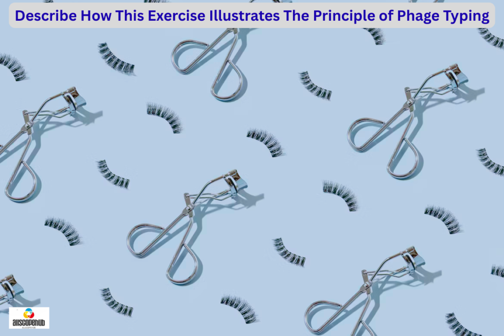 How This Simple Lab Exercise Perfectly Demonstrates the Principle of Phage Typing
