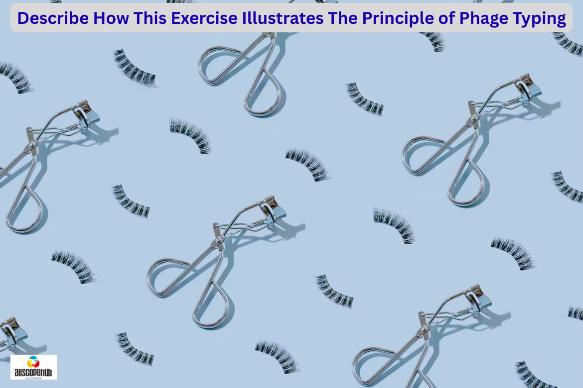 How This Simple Lab Exercise Perfectly Demonstrates the Principle of Phage Typing
